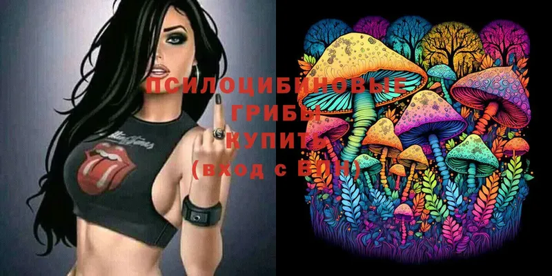 Галлюциногенные грибы Psilocybine cubensis  где можно купить   Челябинск 